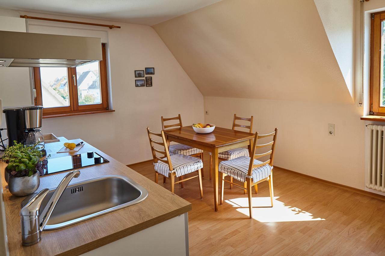 Bodensee Apartment Friedrichshafen Seenah Zewnętrze zdjęcie